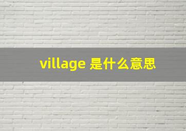 village 是什么意思